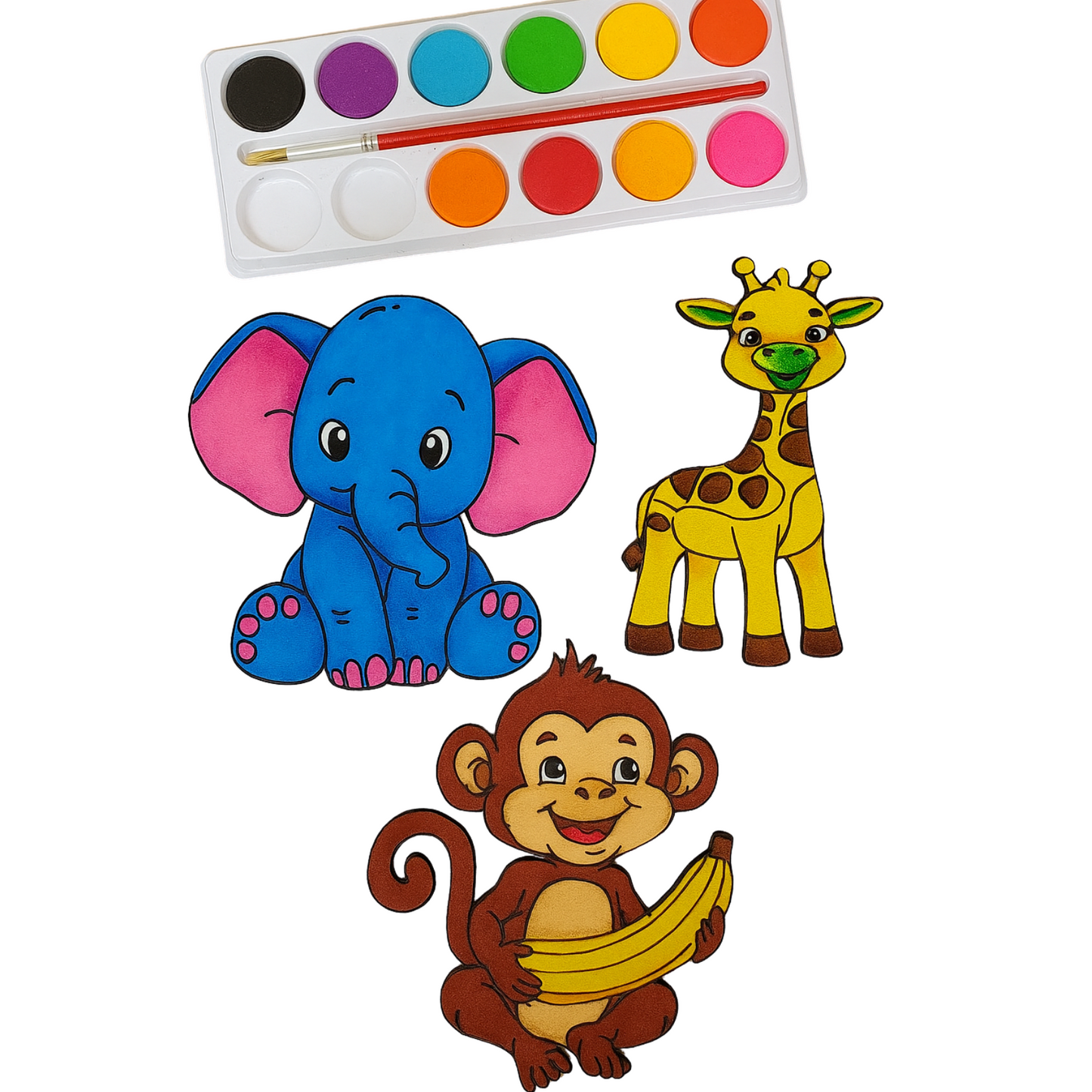 Little Explorers Animal Series