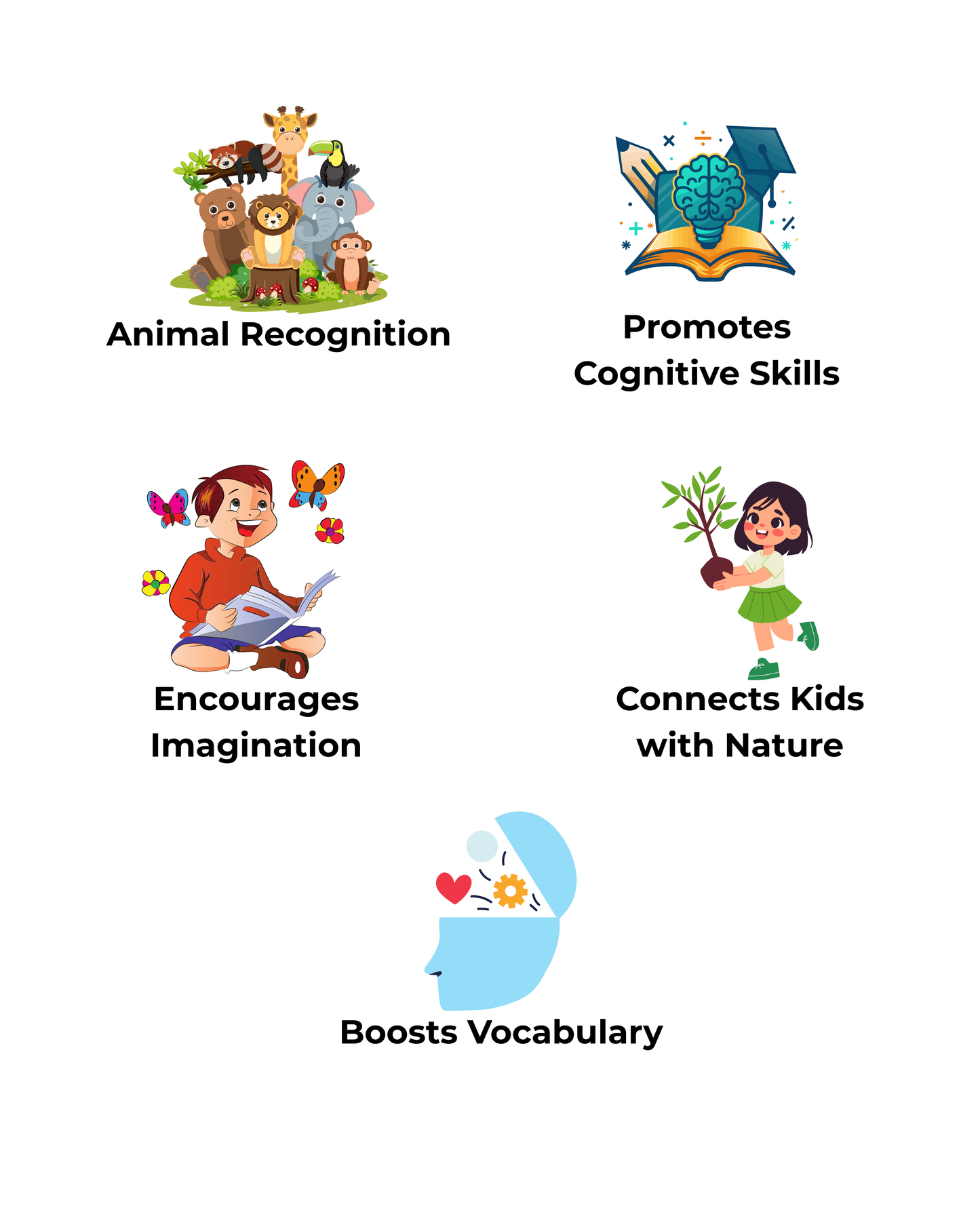 Farm Animals Flashcards