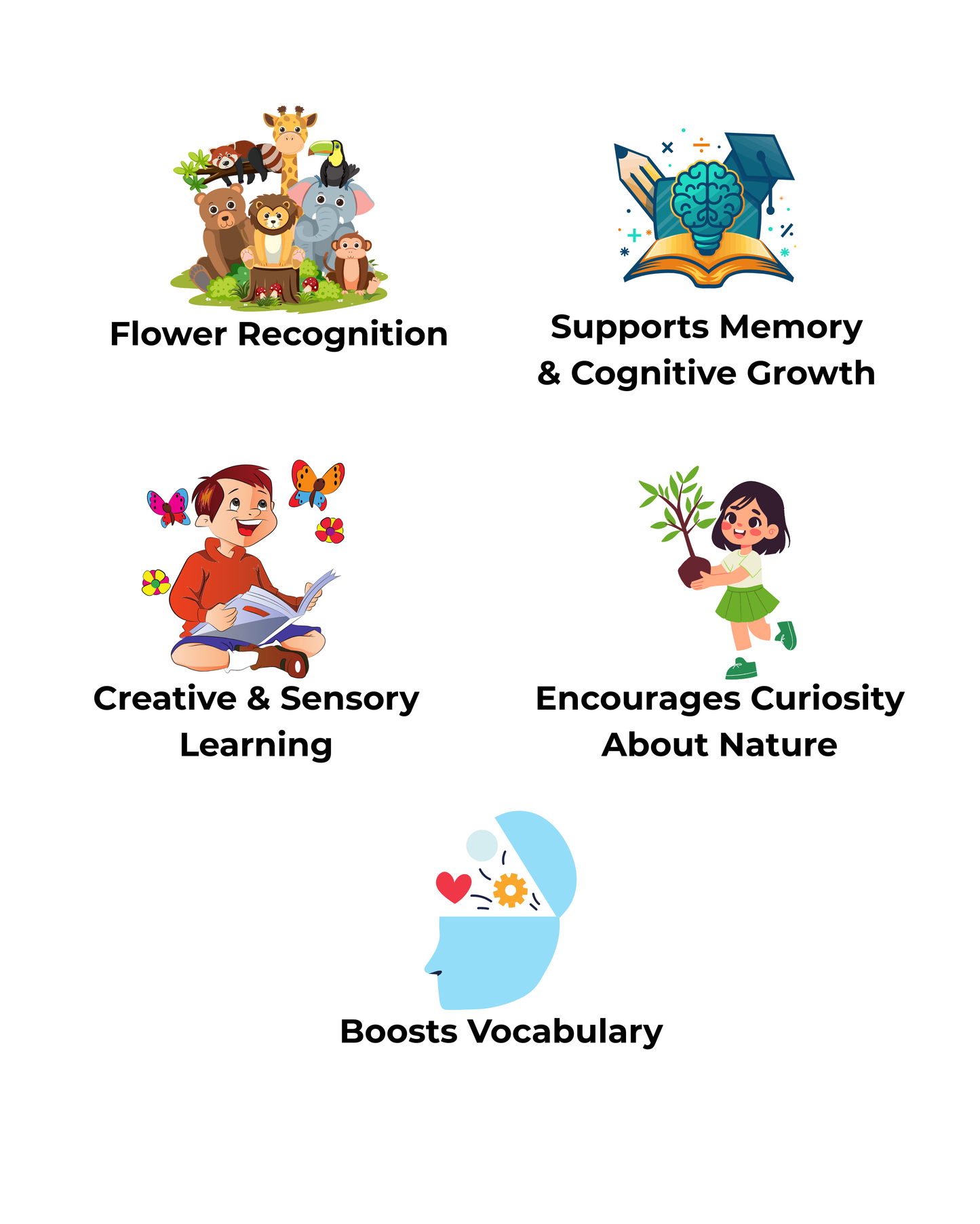 Flowers Flashcards